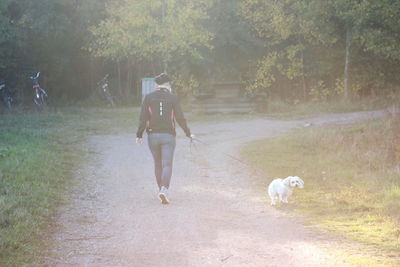 Dog in park