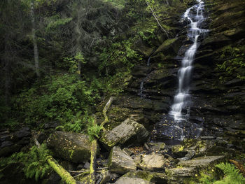 Scenic view of waterfall in forest