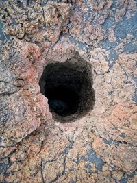 Close-up of hole