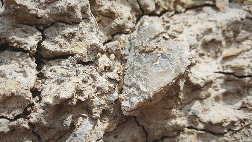 Full frame shot of rocks