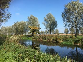 Scenic view of lake by trees against sky