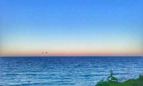 Scenic view of sea against clear blue sky