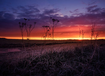 A beautiful spring sunrise with colorful skies.