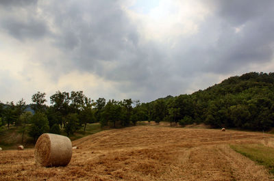 Scenic view of field against cloudy sky