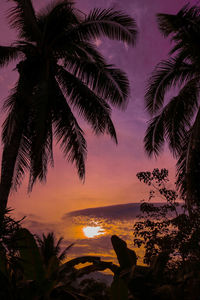 Silhouette palm tree by sea against sky at sunset