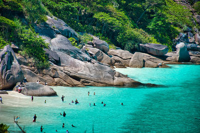 Group of people swimming in sea