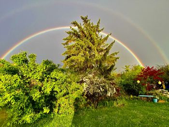 Scenic view of rainbow against sky