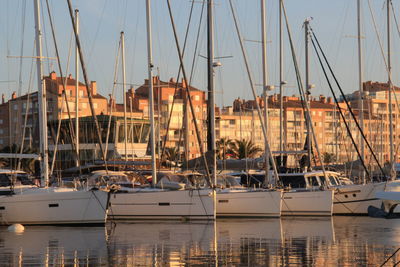 Sailboats moored at harbor