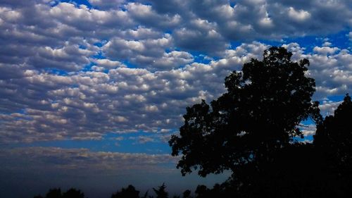 Low angle view of silhouette trees against cloudy sky