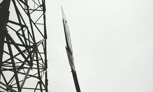 Low angle view of tree against clear sky