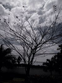 Bare trees against cloudy sky