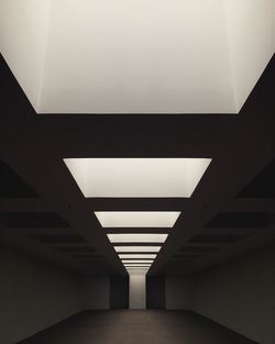 Illuminated ceiling