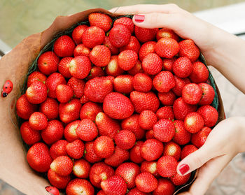 Cropped hands of woman holding strawberries in container