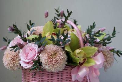 Close-up of pink flowering plant