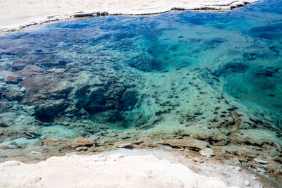 Scenic view of sea shore