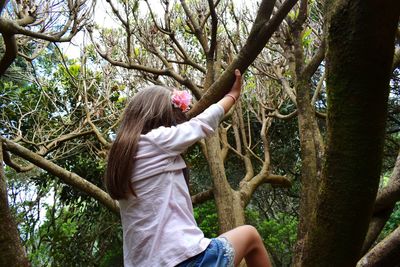 Rear view of woman standing by tree in forest