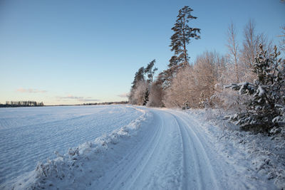 A beautiful winter day landscape of a gravel road near the forest. snow covered scenery.