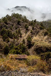 Scenic view of landscape against cloudy sky