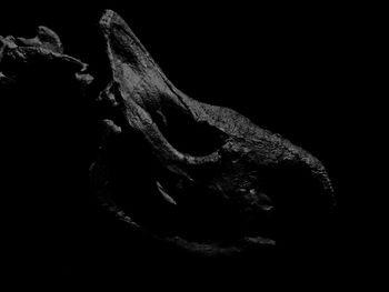 Close-up of lamp over black background