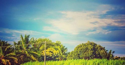 Scenic view of field against cloudy sky