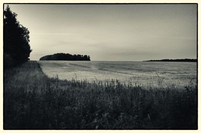 Scenic view of field against clear sky