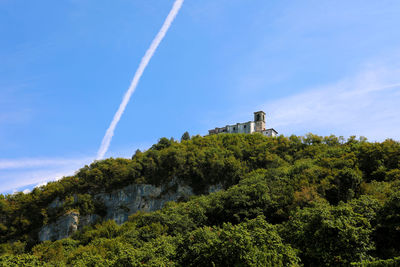 Low angle view of trees and plants against sky