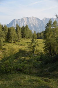 Scenic view of landscape and mountains against sky