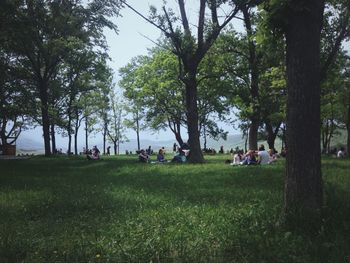 People on grassy field