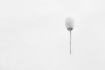 Close-up of snow covered field against sky