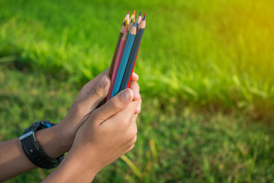 Close-up of hand holding grass