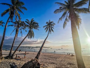 Palm trees on beach against sky