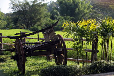 Abandoned wooden cart on field