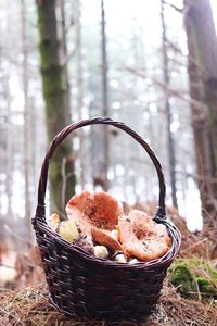 Close-up of basket in forest
