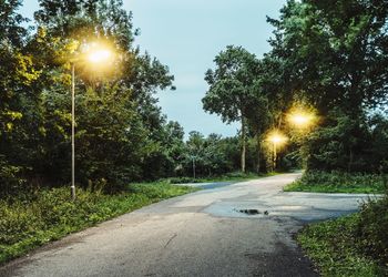 Road passing through trees