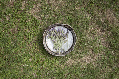 High angle view of sunglasses on grass