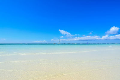 Scenic view of beach against clear blue sky