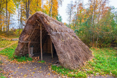 Log cabin by tree in forest during autumn