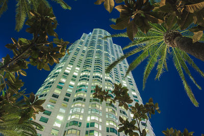 Low angle view of tree against sky