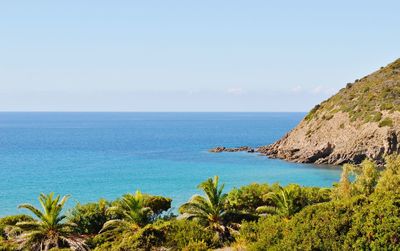 Scenic view of sea against clear sky