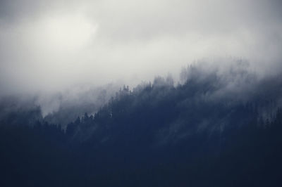 Silhouette trees in forest against sky