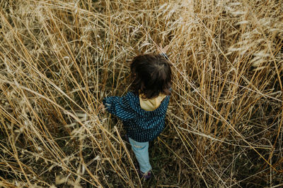 View from above child walking through tall grass