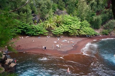 High angle view of people in water at forest