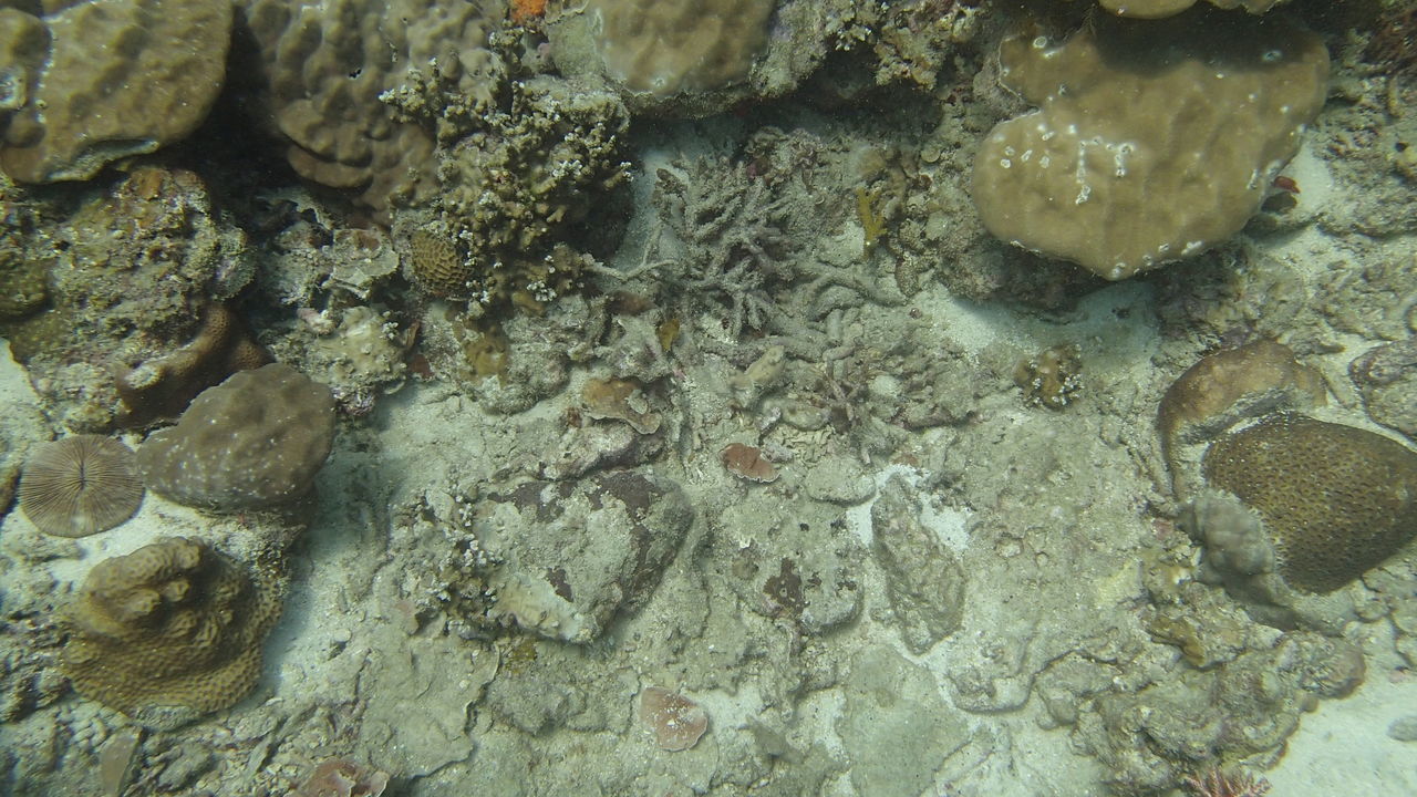 FULL FRAME SHOT OF WATER IN ROCK