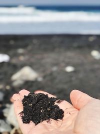 Close-up of hand holding leaf
