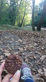 Midsection of person holding autumn leaves in forest