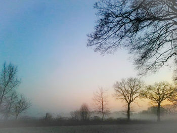 Bare trees on landscape against clear sky