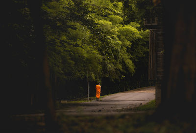 Rear view of monk walking on road along trees