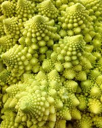 Full frame shot of romanesco cauliflowers