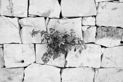 Full frame shot of stone wall