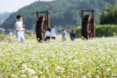 Rear view of people standing by waterwheels